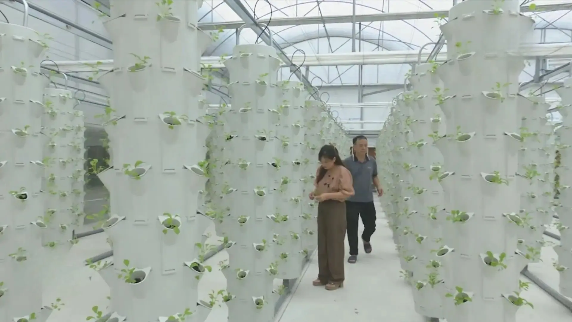 Hiệu quả từ công nghệ cao, nền tảng cho nông nghiệp bền vững